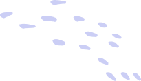 Background shape
